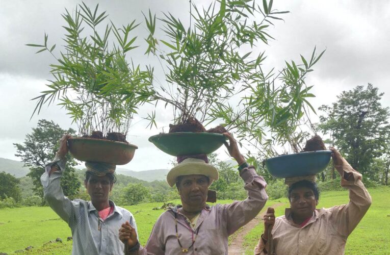 Project Bamboo Village India