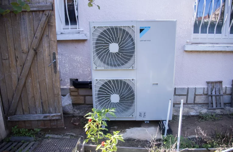 The heat pumps of Europe