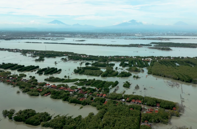 Building with Nature in Indonesia