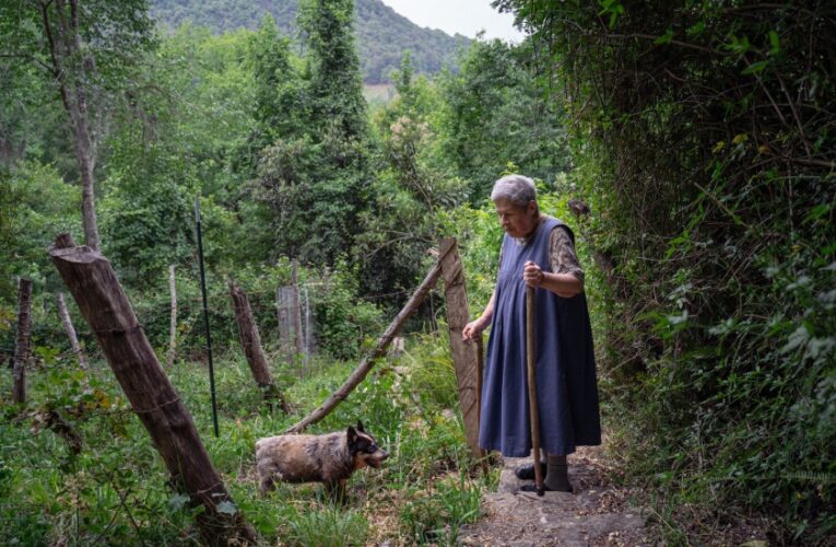 Sierra Gorda: A Model for Conservation