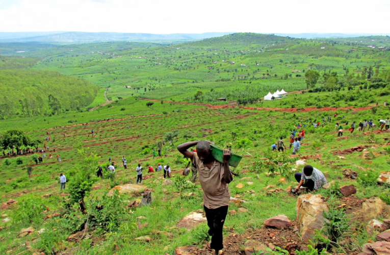 Rwanda’s Restoration Story