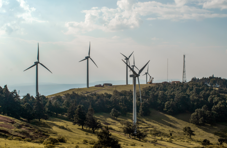 The Danish Wind Turbine